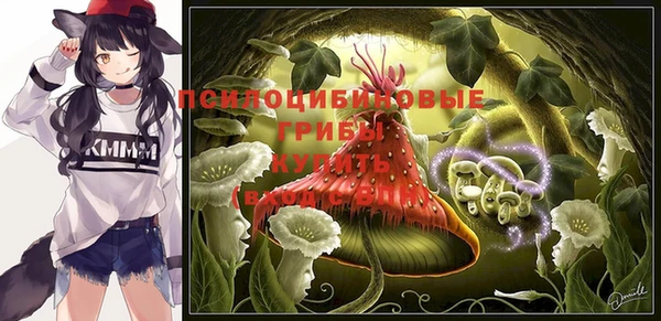меф Белокуриха