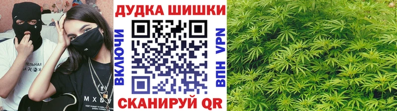 Конопля сатива Ульяновск